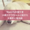 名古屋市・尾張旭市・長久手市・春日井市から来店多数の犬の整体WanLife