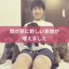名古屋市・尾張旭市・長久手市・春日井市から来店多数の犬の整体WanLife