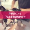 名古屋市・尾張旭市・長久手市・春日井市から来店多数の犬の整体WanLife