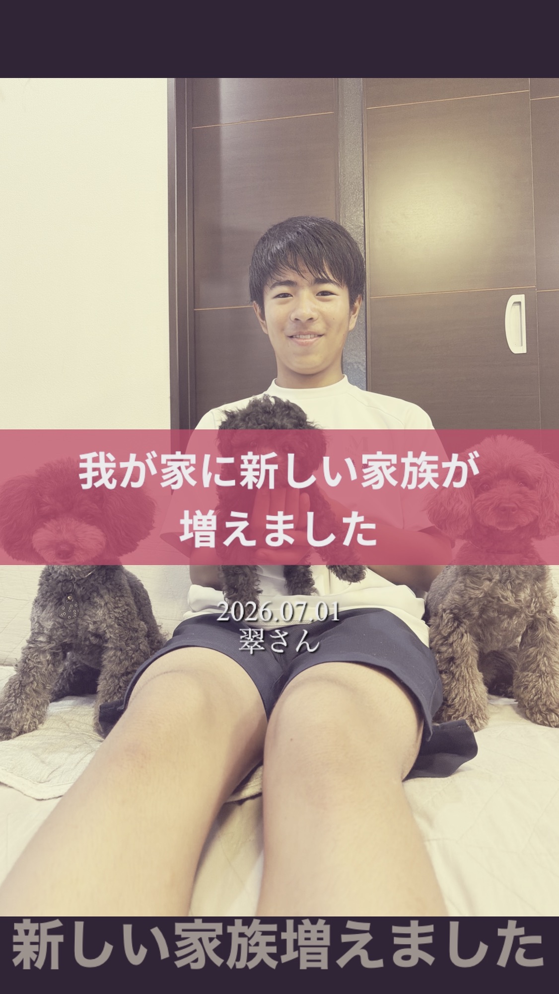 名古屋市・尾張旭市・長久手市・春日井市から来店多数の犬の整体WanLife