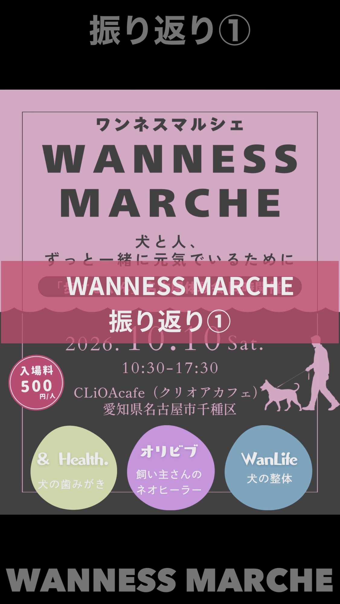 名古屋市・尾張旭市・長久手市・春日井市から来店多数の犬の整体WanLife
