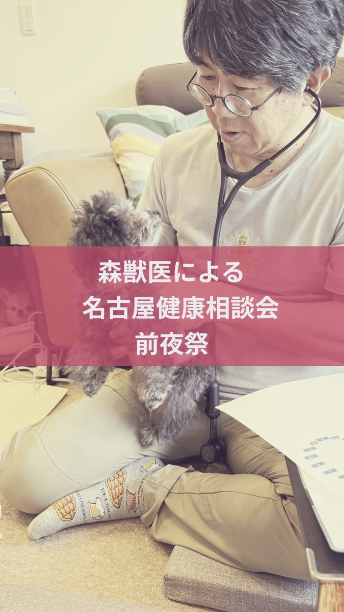 名古屋市・尾張旭市・長久手市・春日井市から来店多数の犬の整体WanLife