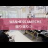 名古屋市・尾張旭市・長久手市・春日井市から来店多数の犬の整体WanLife