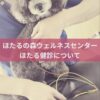 名古屋市・尾張旭市・長久手市・春日井市から来店多数の犬の整体WanLife