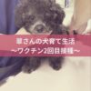 名古屋市・尾張旭市・長久手市・春日井市から来店多数の犬の整体WanLife