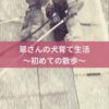 名古屋市・尾張旭市・長久手市・春日井市から来店多数の犬の整体WanLife