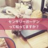 名古屋市・尾張旭市・長久手市・春日井市から来店多数の犬の整体WanLife