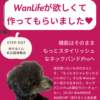 名古屋市・尾張旭市・長久手市・春日井市から来店多数の犬の整体WanLife