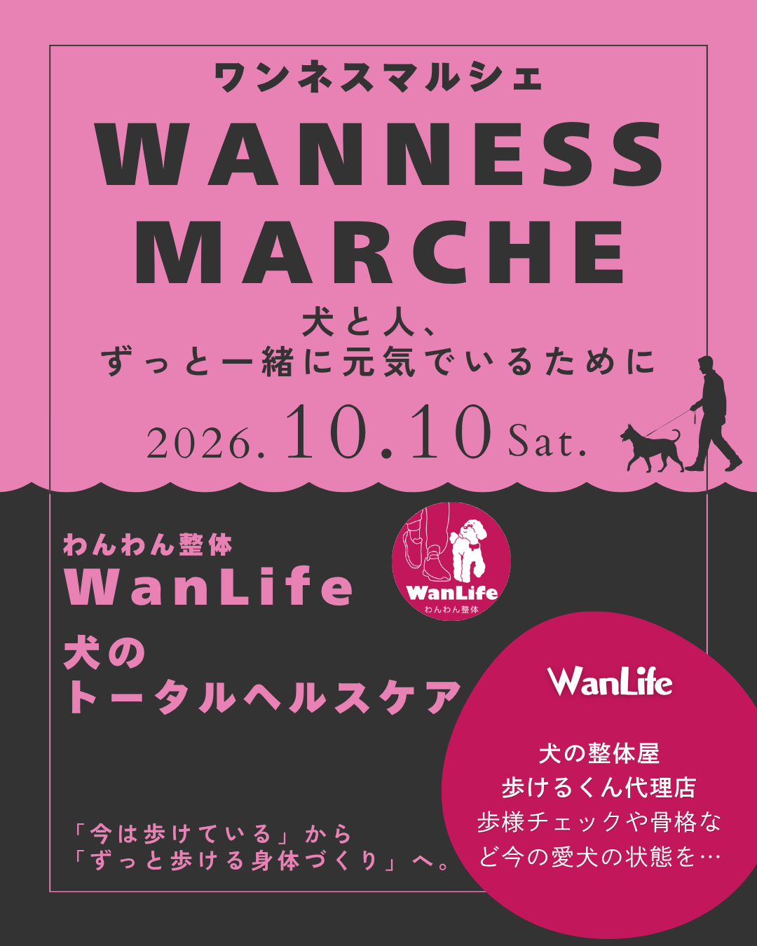 名古屋市・尾張旭市・長久手市・春日井市から来店多数の犬の整体WanLife