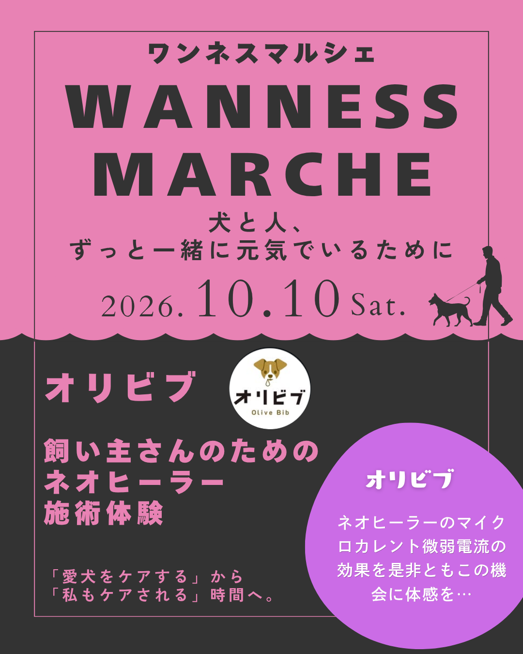 名古屋市・尾張旭市・長久手市・春日井市から来店多数の犬の整体WanLife