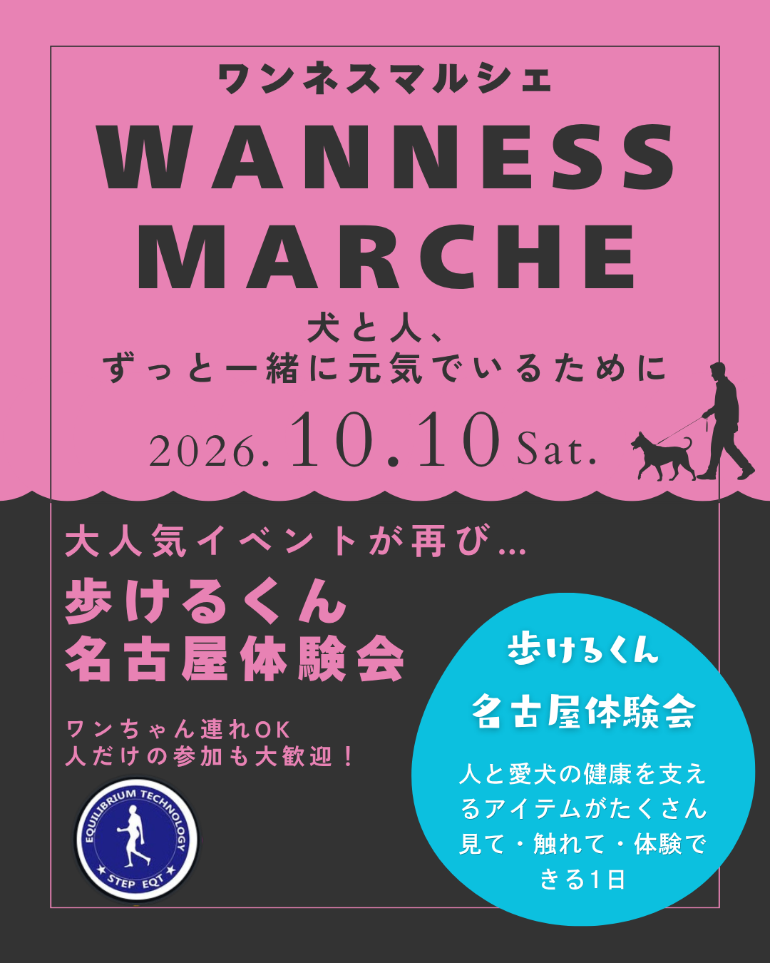 名古屋市・尾張旭市・長久手市・春日井市から来店多数の犬の整体WanLife