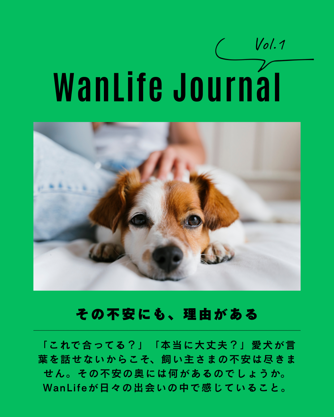 名古屋市・尾張旭市・長久手市・春日井市から来店多数の犬の整体WanLife