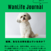 名古屋市・尾張旭市・長久手市・春日井市から来店多数の犬の整体WanLife