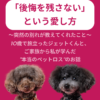 名古屋市・尾張旭市・長久手市・春日井市から来店多数の犬の整体WanLife
