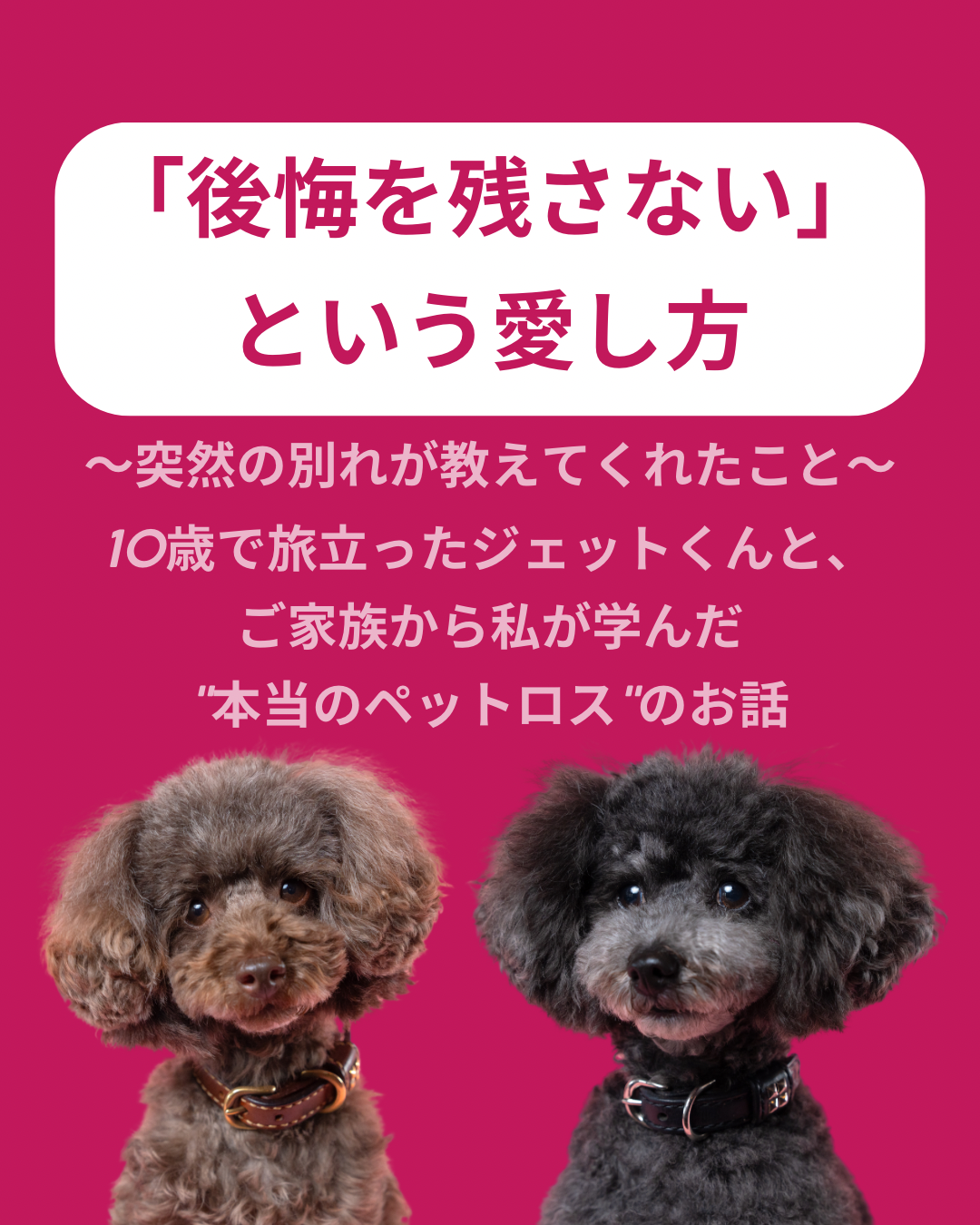 名古屋市・尾張旭市・長久手市・春日井市から来店多数の犬の整体WanLife