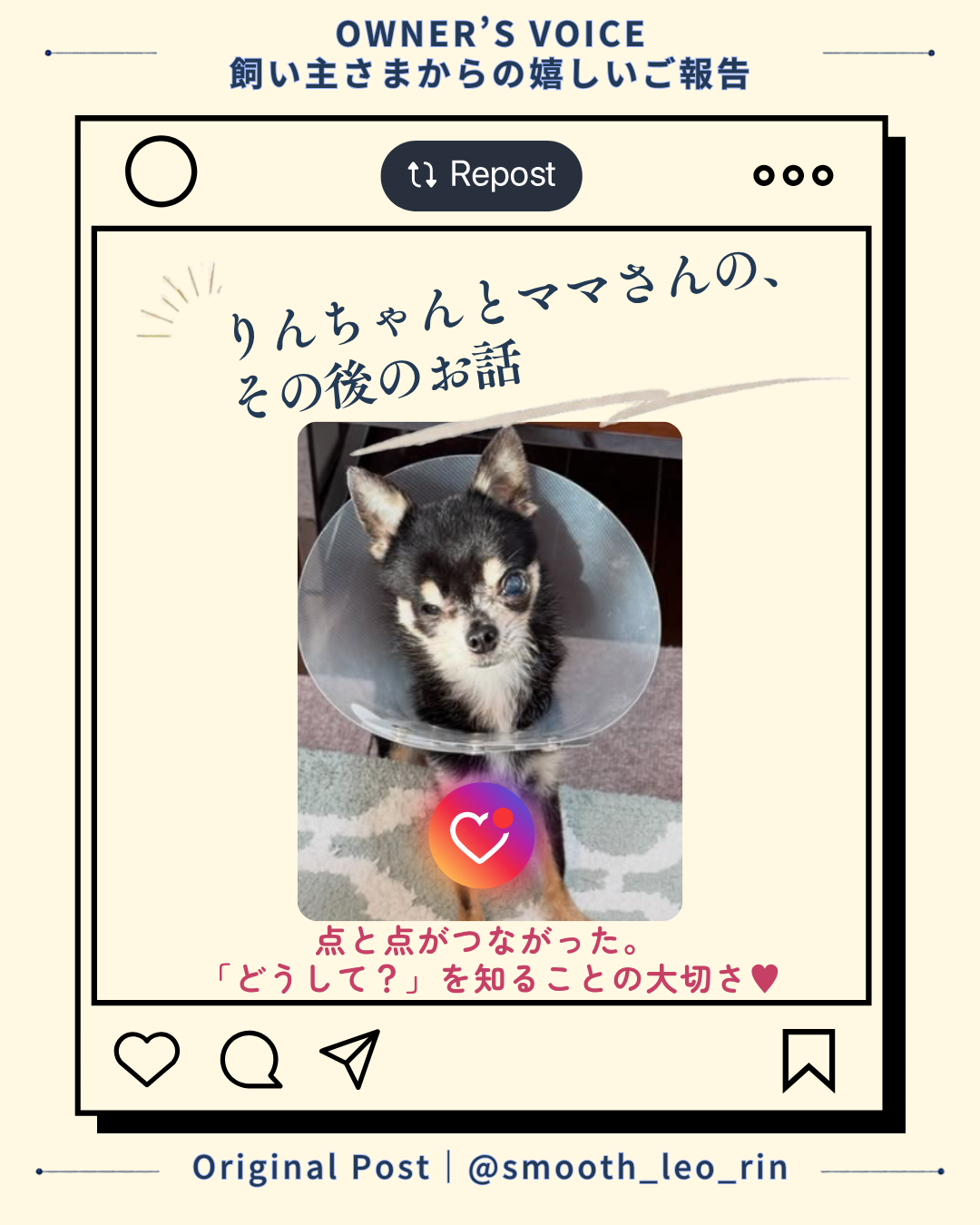 名古屋市・尾張旭市・長久手市・春日井市から来店多数の犬の整体WanLife
