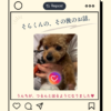 名古屋市・尾張旭市・長久手市・春日井市から来店多数の犬の整体WanLife