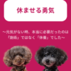 名古屋市・尾張旭市・長久手市・春日井市から来店多数の犬の整体WanLife
