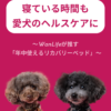 名古屋市・尾張旭市・長久手市・春日井市から来店多数の犬の整体WanLife