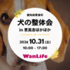 名古屋市・尾張旭市・長久手市・春日井市から来店多数の犬の整体WanLife