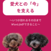 名古屋市・尾張旭市・長久手市・春日井市から来店多数の犬の整体WanLife