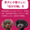 名古屋市・尾張旭市・長久手市・春日井市から来店多数の犬の整体WanLife