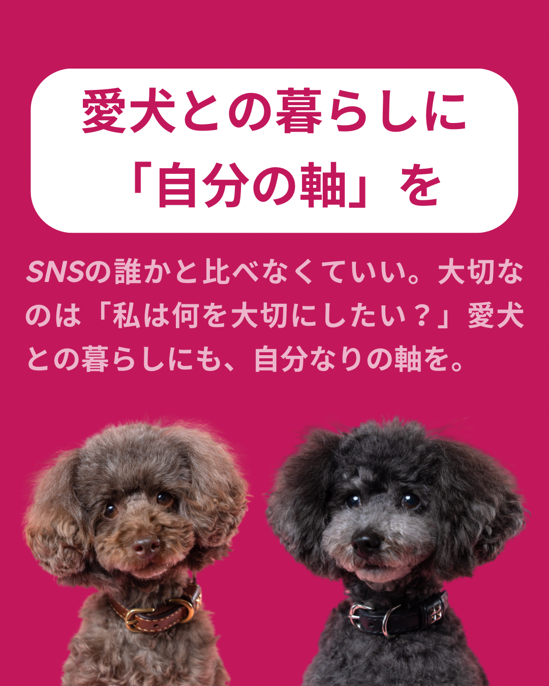 名古屋市・尾張旭市・長久手市・春日井市から来店多数の犬の整体WanLife
