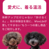 名古屋市・尾張旭市・長久手市・春日井市から来店多数の犬の整体WanLife