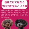 名古屋市・尾張旭市・長久手市・春日井市から来店多数の犬の整体WanLife