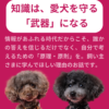 名古屋市・尾張旭市・長久手市・春日井市から来店多数の犬の整体WanLife