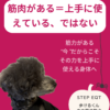 名古屋市・尾張旭市・長久手市・春日井市から来店多数の犬の整体WanLife