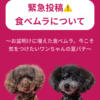 名古屋市・尾張旭市・長久手市・春日井市から来店多数の犬の整体WanLife