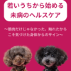 名古屋市・尾張旭市・長久手市・春日井市から来店多数の犬の整体WanLife