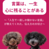 名古屋市・尾張旭市・長久手市・春日井市から来店多数の犬の整体WanLife